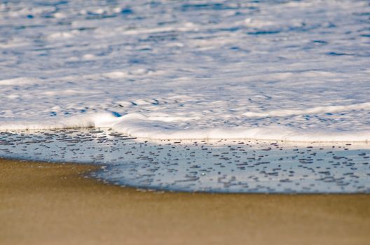 Close-up of ocean foam gently lapping onto the sandy shore at West Palm Beach.