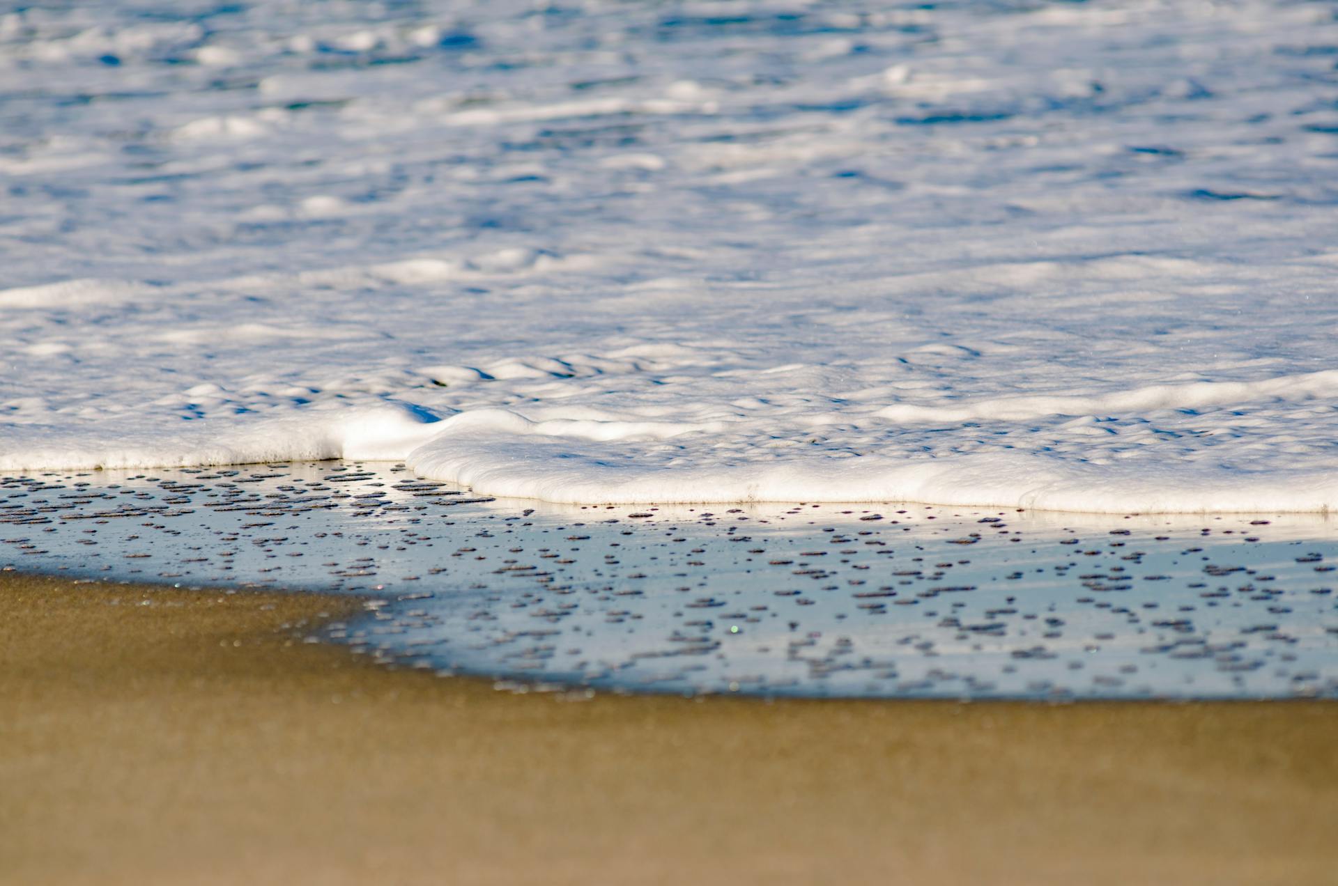Close-up of ocean foam gently lapping onto the sandy shore at West Palm Beach.