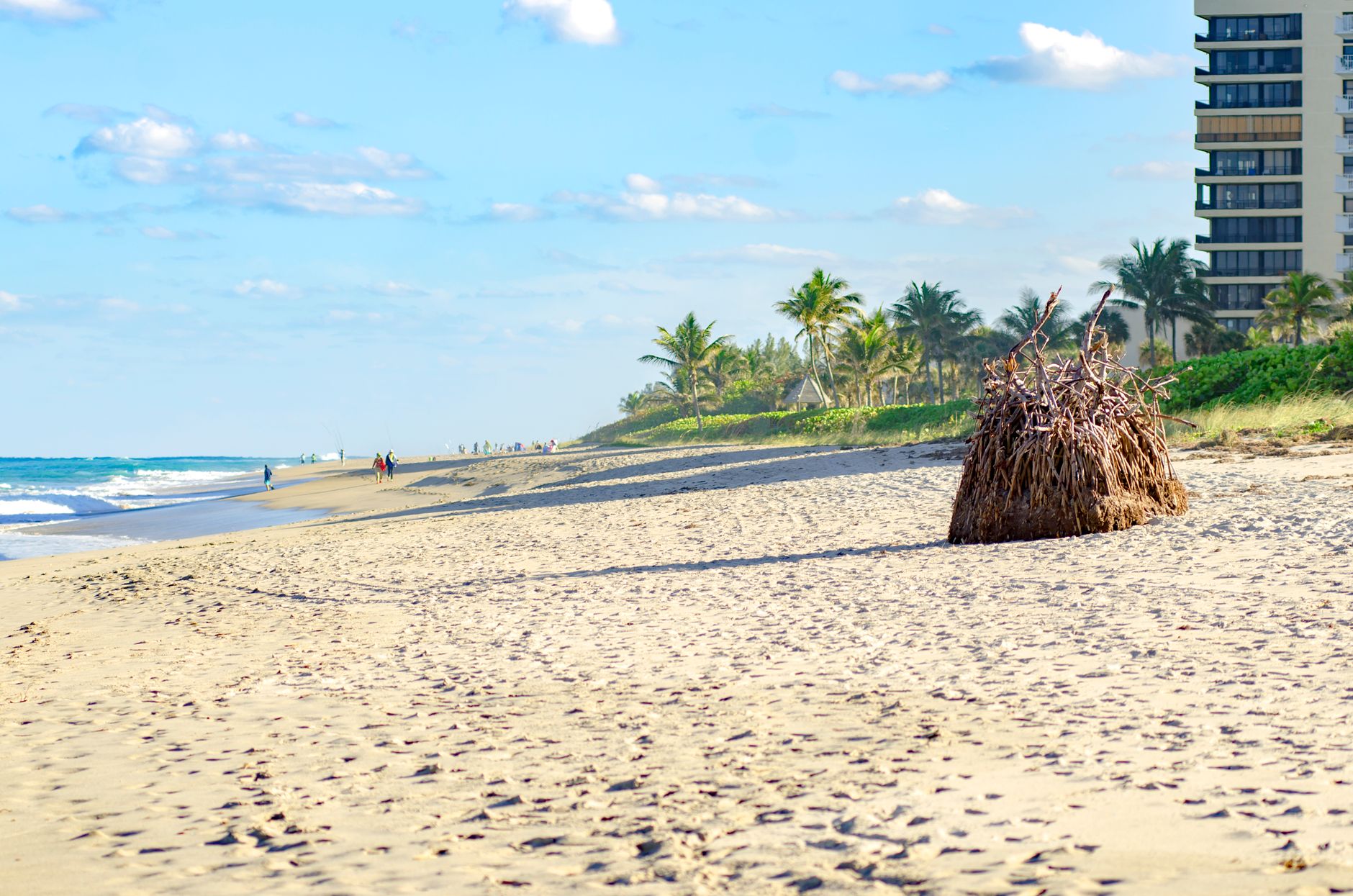 Beautiful sunny day at West Palm Beach with palm trees and ocean view. — West Palm Beach in Florida