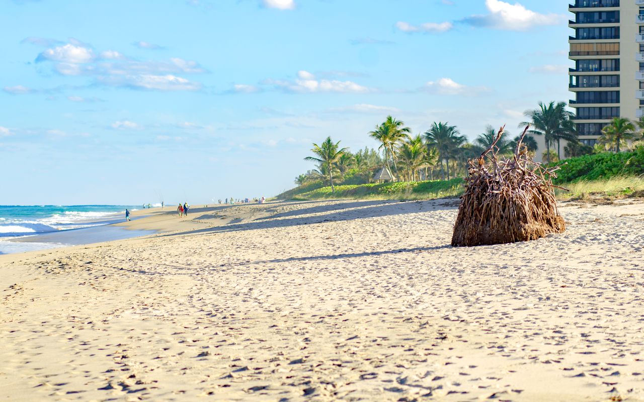 Beautiful sunny day at West Palm Beach with palm trees and ocean view.