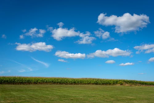 Gratis stockfoto met akkerland, blauwe lucht, groen gras Stockfoto