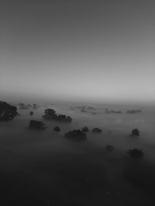 Grayscale Photo of Surface covered in Haze