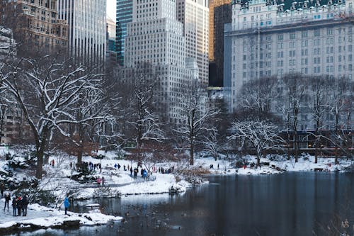 中央公園 的 免費圖庫相片