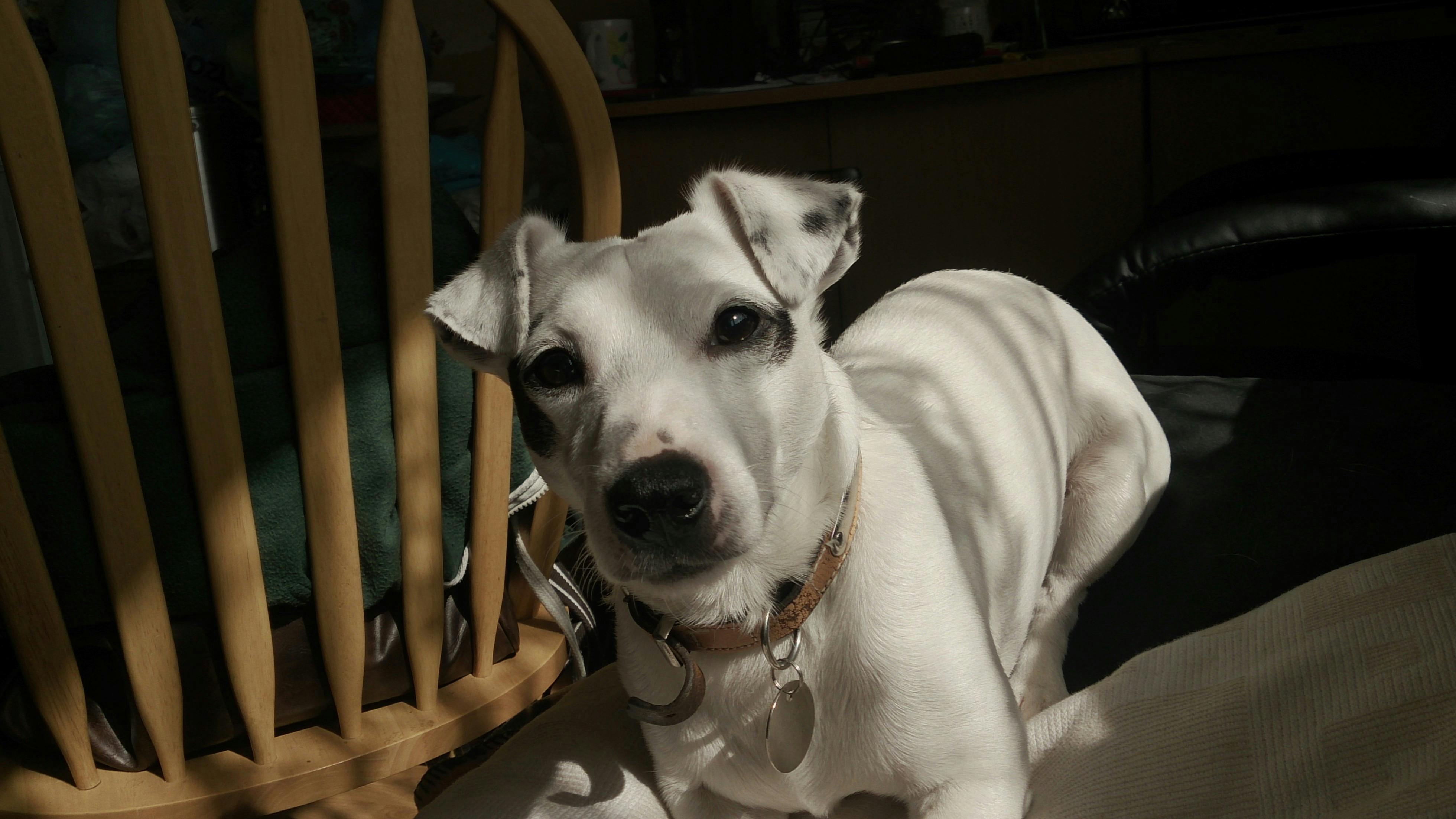 Difference Between Chips And Crackers Difference