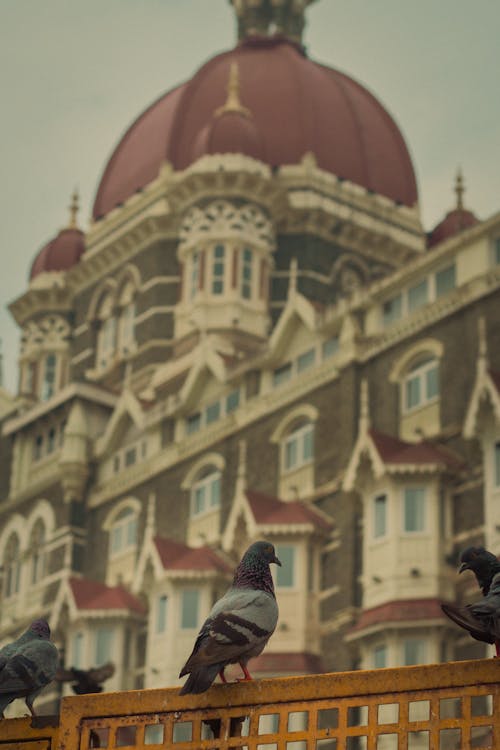 Photo of a Cathedral with Red Dome