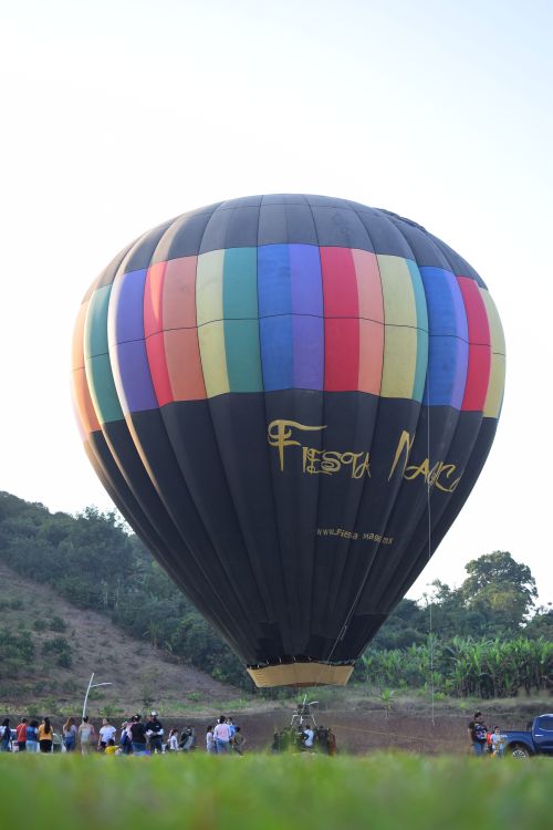 Free stock photo of hot air balloon Stock Photo