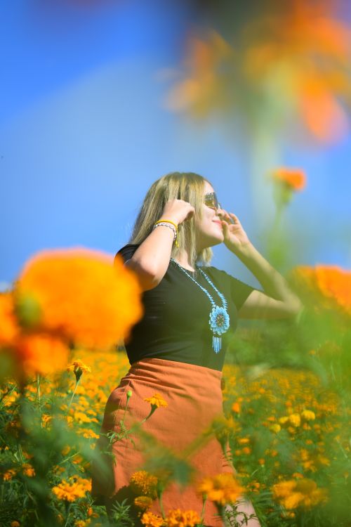Free stock photo of cempasuchil, cempasuchil field, dia de los muertos Stock Photo