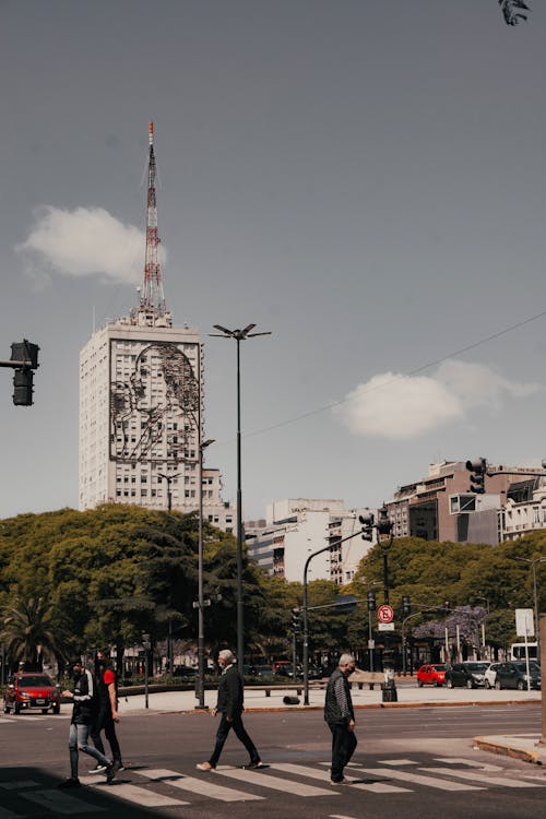 Foto profissional grátis de andando, árvores, ativo