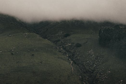 Aerial view of a grassy valley under a misty mountain range.