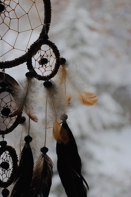 깃털, 드림캐처, 매달린의 무료 스톡 사진