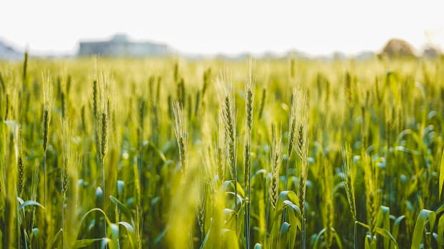 Meeting between MP and NITI Aayog focuses on boosting the state's economic development and growth strategies.