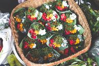 Assorted Flowers