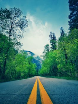 道路两侧绿树成荫，夏季的山景郁郁葱葱