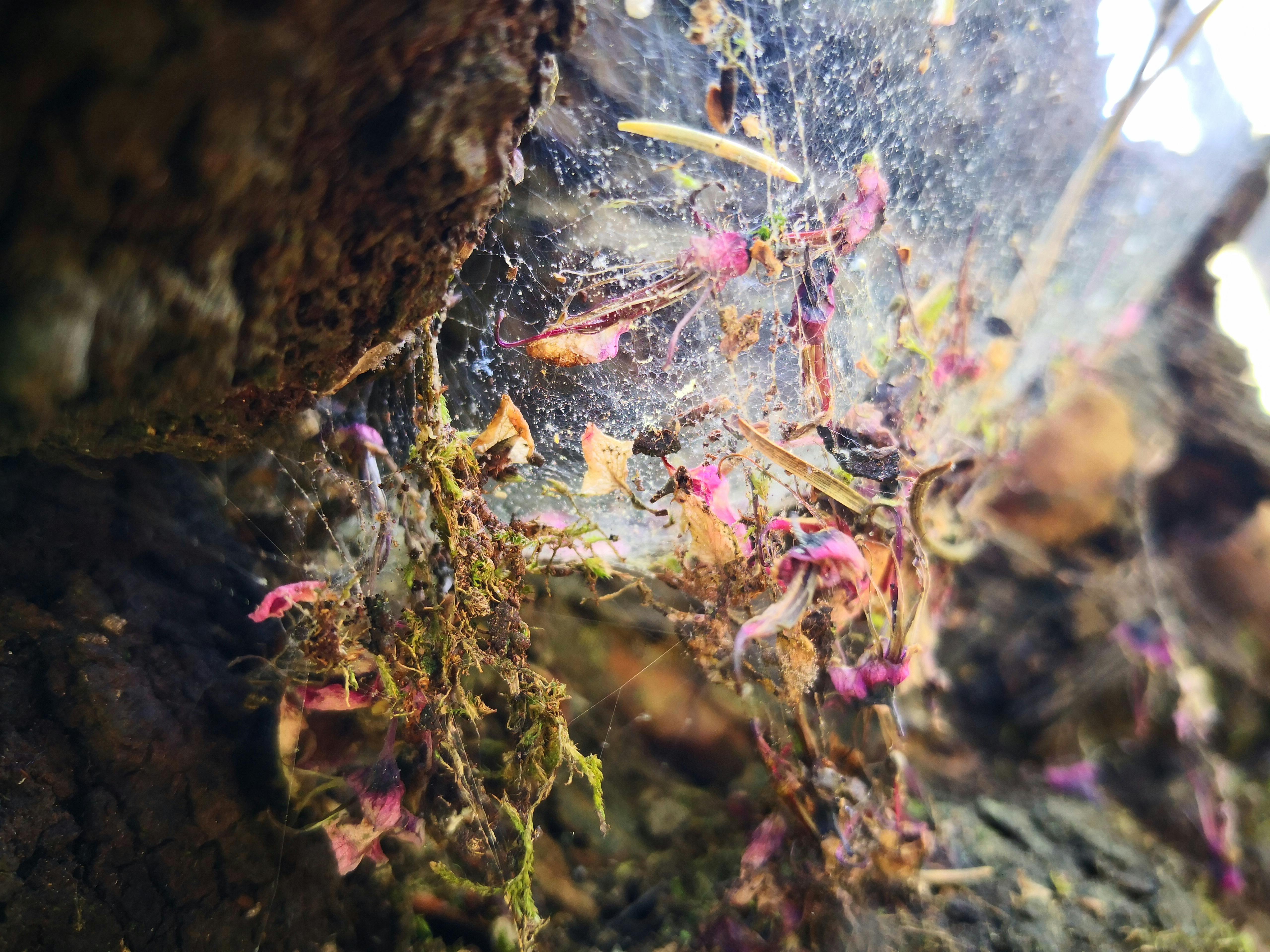 台北夜市美食摊位