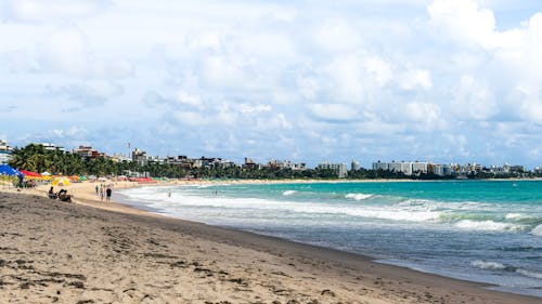 People on Beach during Daytime 