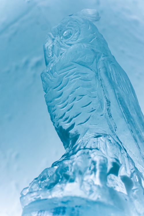 Free Close-up of an owl ice sculpture showcasing detailed artistry in a cool winter setting. Stock Photo