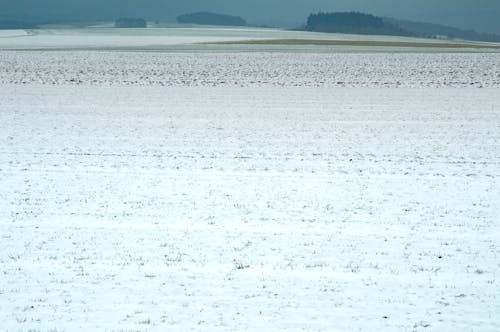Gratis lagerfoto af minimalisme, plads til reklametekst, sne
