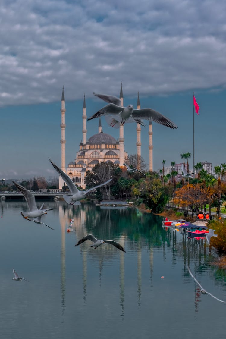 Birds Flying Over The River Near The Blue Mosque