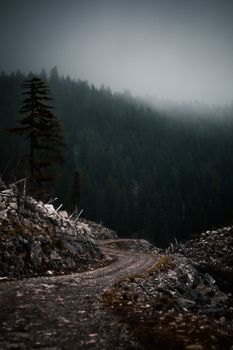 A mysterious unpaved road winding through a foggy forested mountainside.
