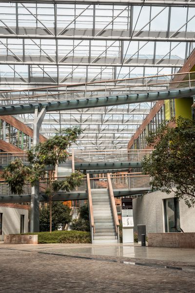 Glass office atrium filled with plants, photo by Nici Gottstein on Pexels