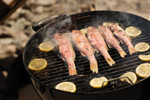 Delicious grilled fish with lemon slices cooking outdoors on a barbecue grill.