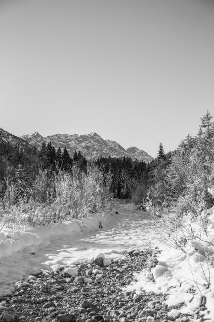 Black and white photo of a snow-covered path leading to rugged mountains.