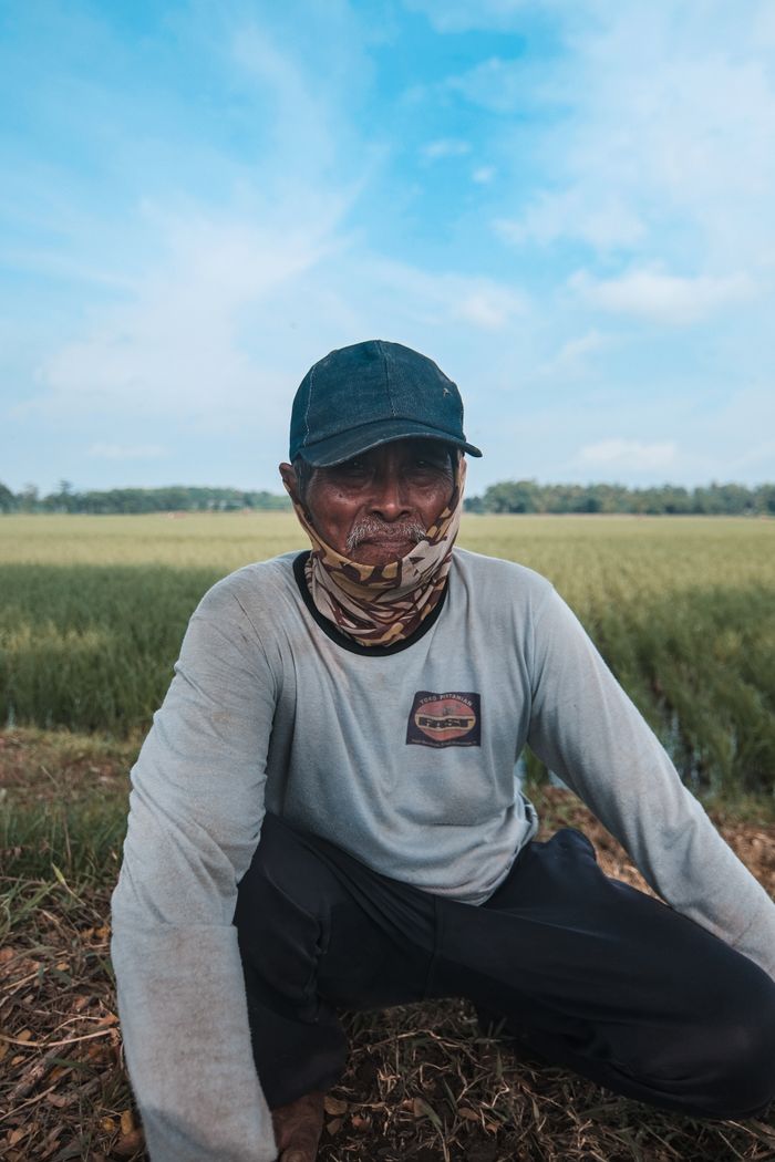 Petani mitra Hijau Sabut Nusantara