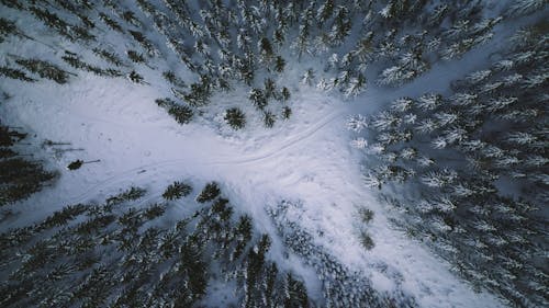 冬季, 冷冰的, 大雪覆盖 的 免费素材图片