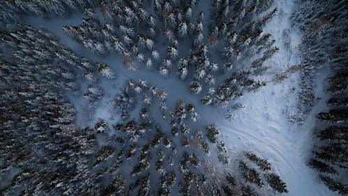 下雪的, 俯視圖, 冷 的 免费素材图片