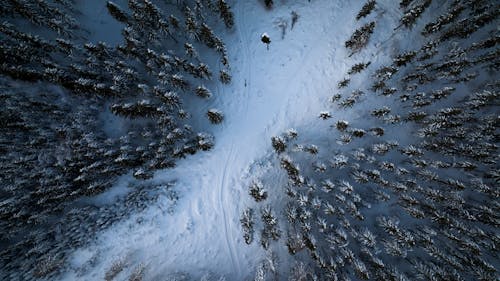 Gratis lagerfoto af droneoptagelse, forkølelse, fugleperspektiv