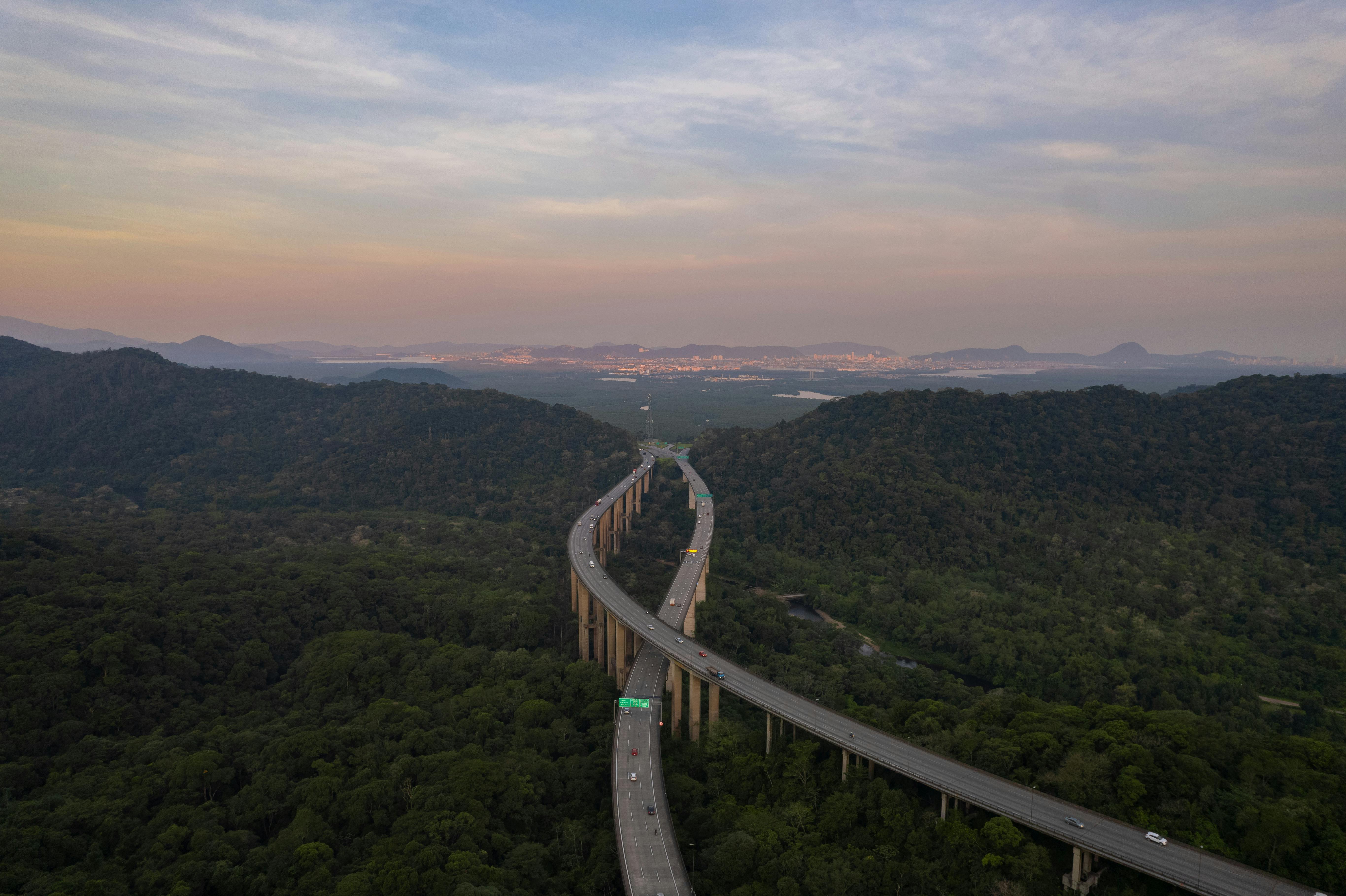 aerial view of road above trees