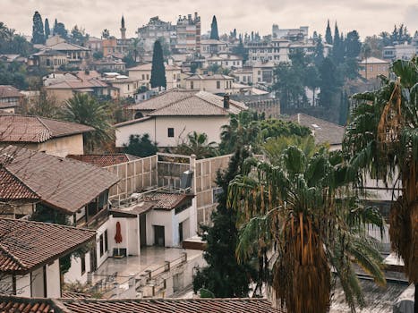 A picturesque aerial view capturing rustic rooftops and lush palm trees in a serene Mediterranean village setting.
