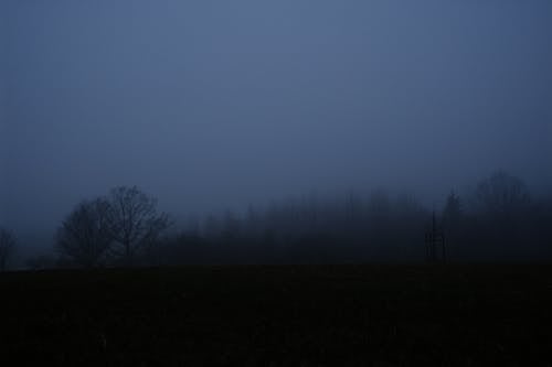Foto profissional grátis de árvores nuas, nublado, obscuro