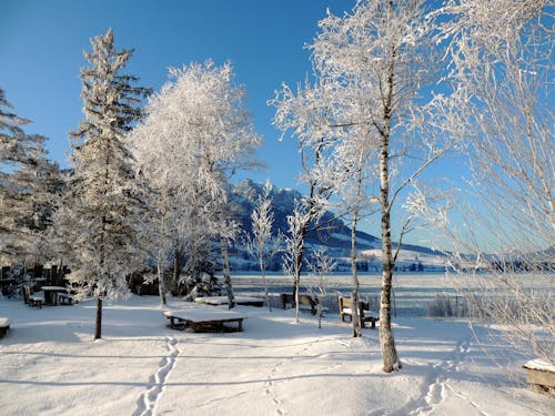 A Snow Covered Park Under Blue Sky