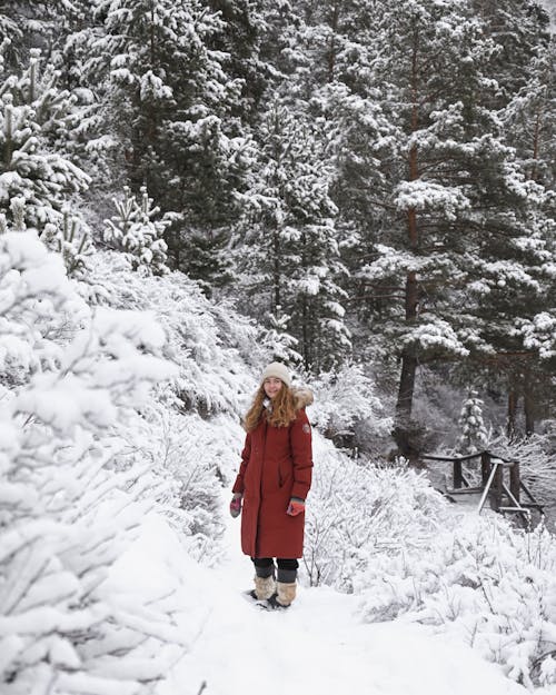 Gratis arkivbilde med kvinne, rød frakk, snø