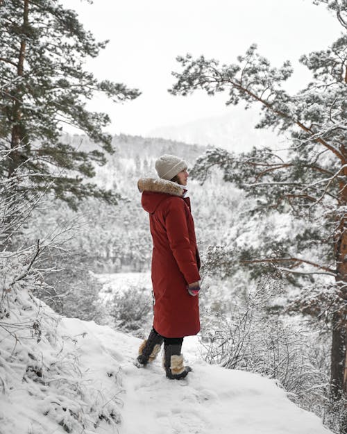 grátis Foto profissional grátis de casaco vermelho, de pé, floresta Foto profissional