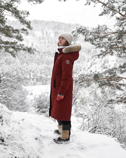 Gratis arkivbilde med kvinne, rød frakk, skog