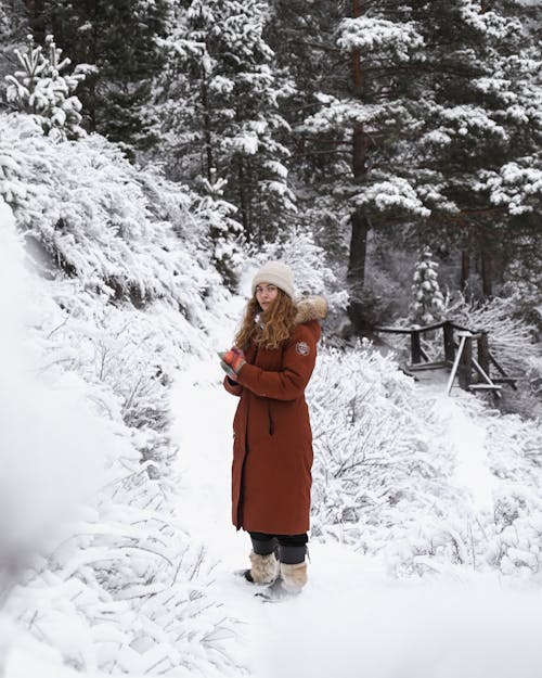 grátis Foto profissional grátis de agasalhos, árvores, casaco de inverno Foto profissional