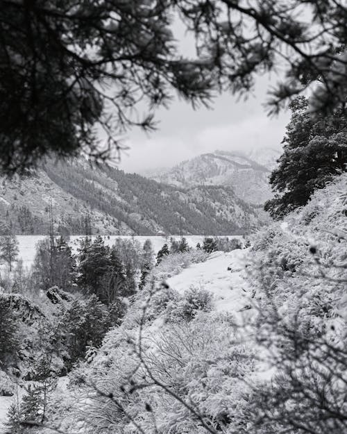 Gratis lagerfoto af bjerge, frossen, frostklart vejr