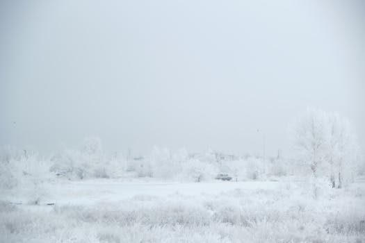 A serene winter scene with frost-covered trees and a car in the distance under a gray sky.