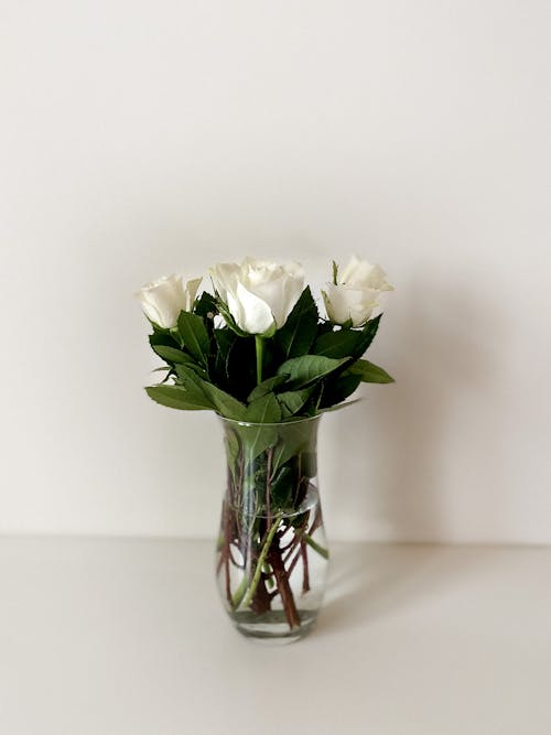 Бесплатное стоковое фото с белые розы, вертикальный выстрел, декор