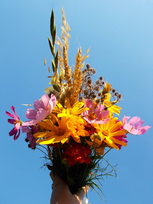 A Person Holding a Bouquet of Colorful Flowers