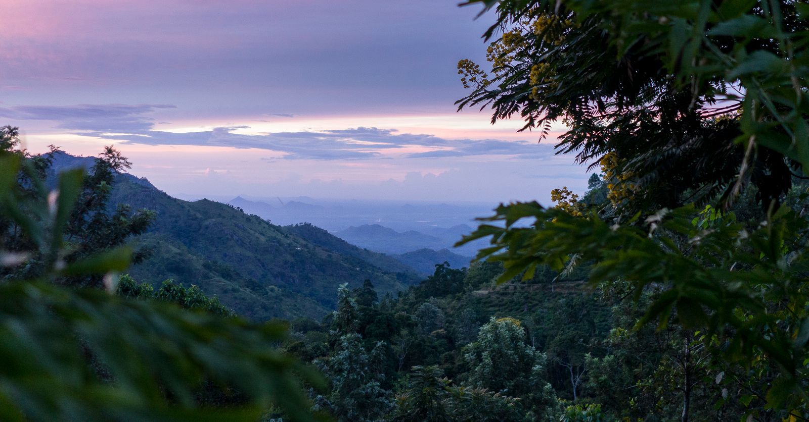 Combien coûte un voyage au Sri Lanka ? Le budget à prévoir