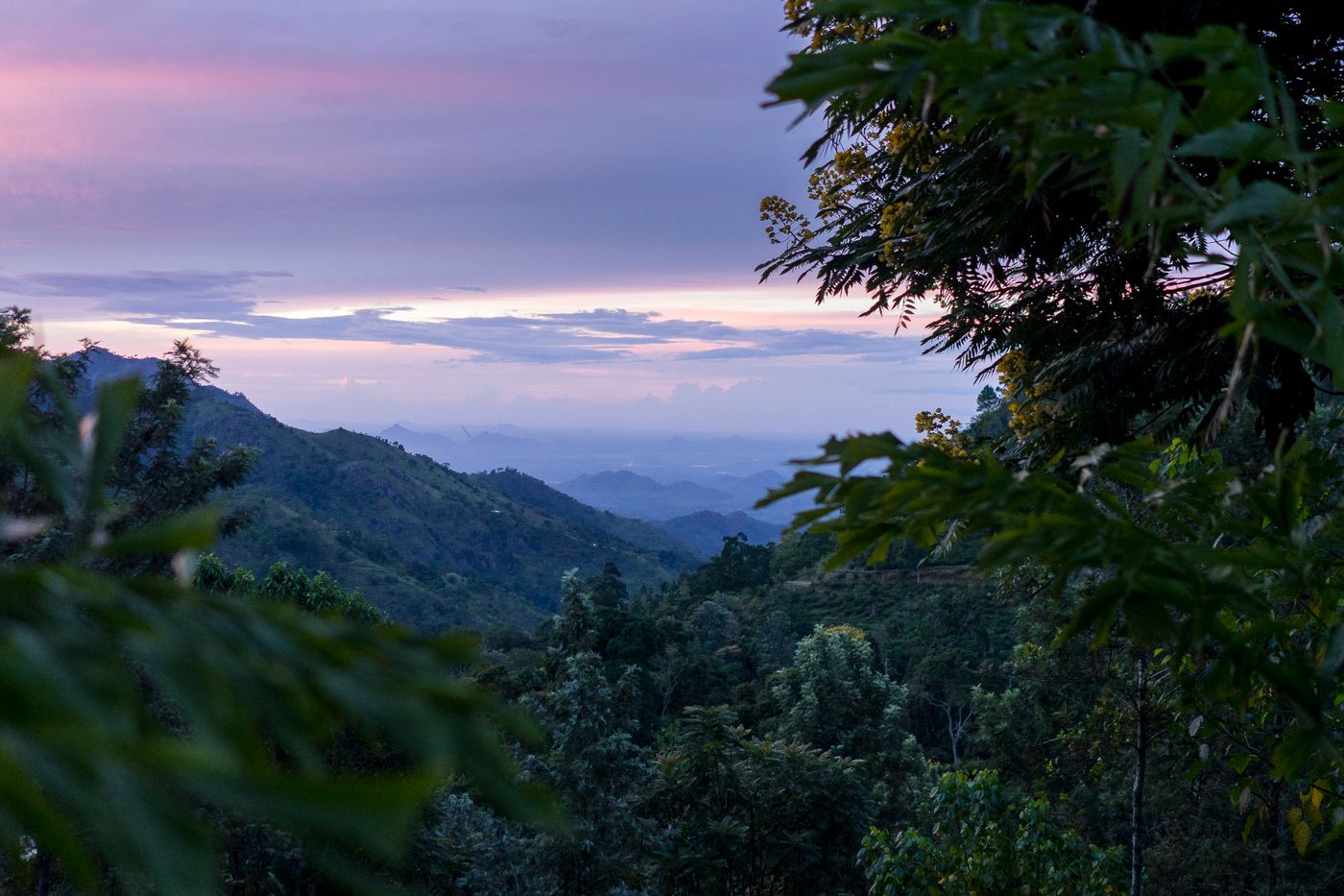 Ella: Your Ultimate Guide to Sri Lanka's Most Scenic Hill Town
