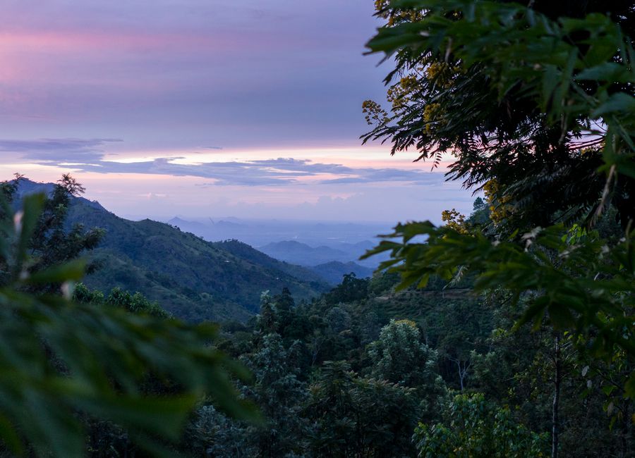 Breathtaking view of Ella's lush mountains and foliage under a serene twilight sky.