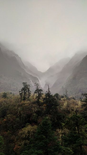Tripura