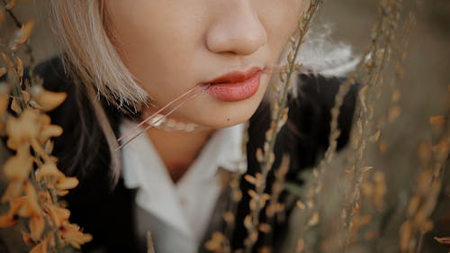 Darmowe zdjęcie z galerii z kobieta, nos, szminka