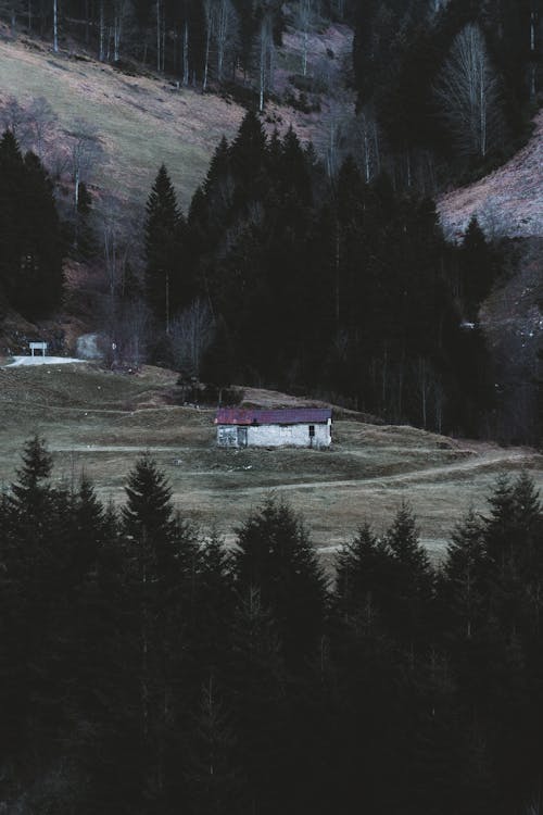Základová fotografie zdarma na téma domy, dům, hora