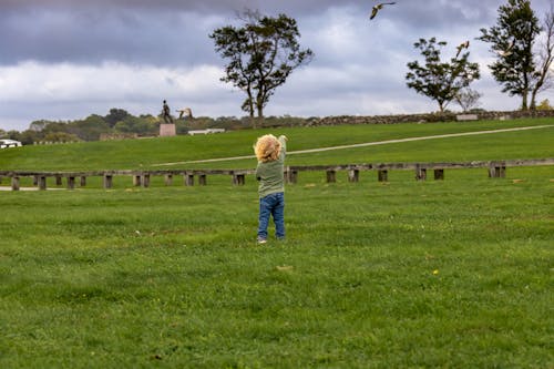 Boy in a Green Shirt and Blue Denim Jeans Standing on Green Grass Field