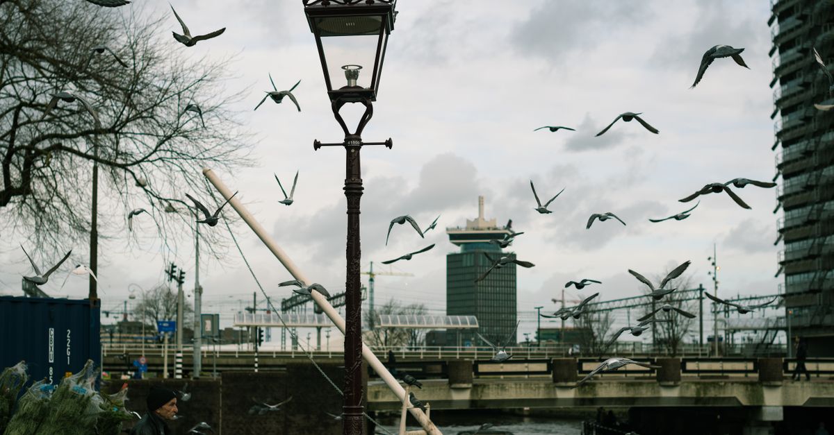 Photo of Netherlands